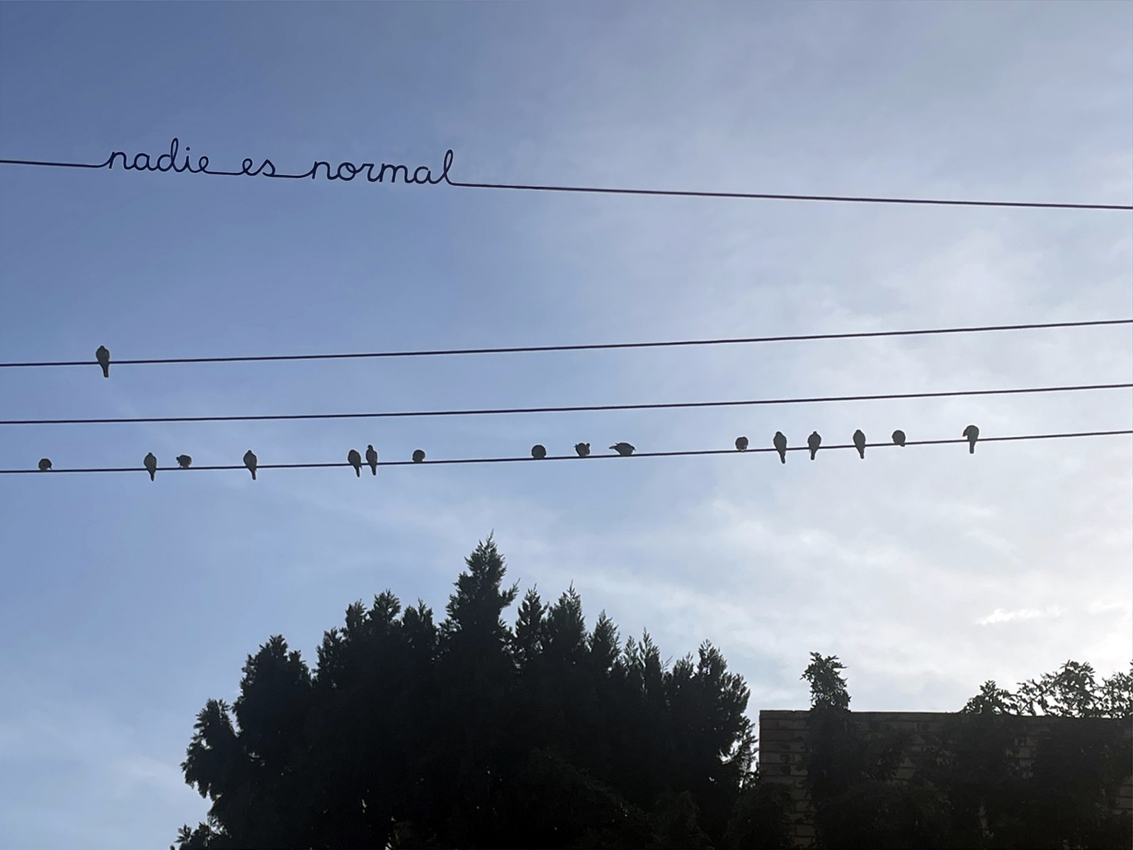 nadie es normal